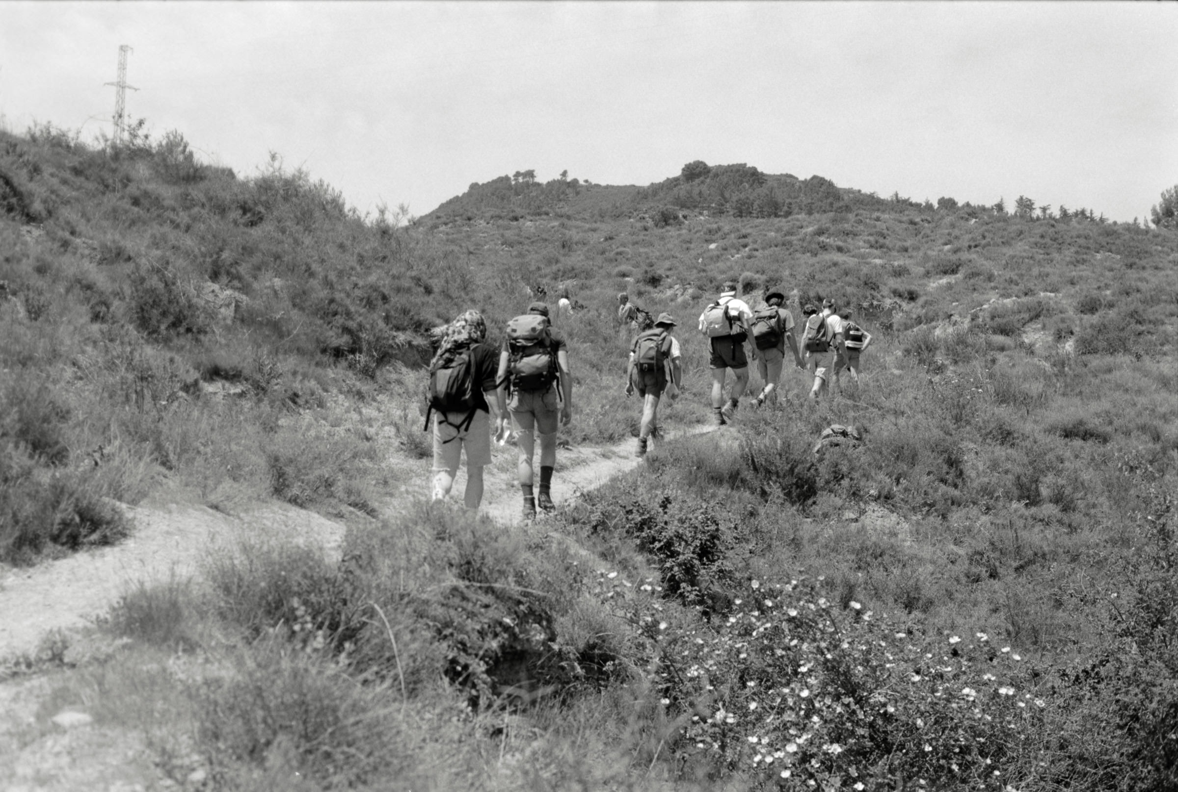 AHP F1995 05 006 sc240818 img25 NLP